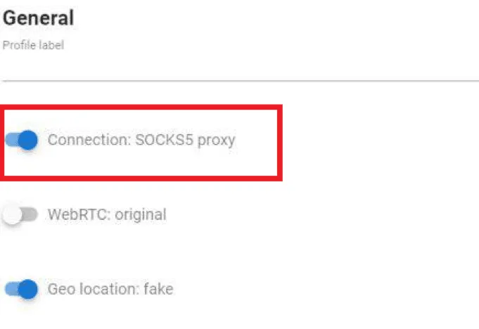 Параметр Connection во включённом состоянии в настройках профиля Che Browser