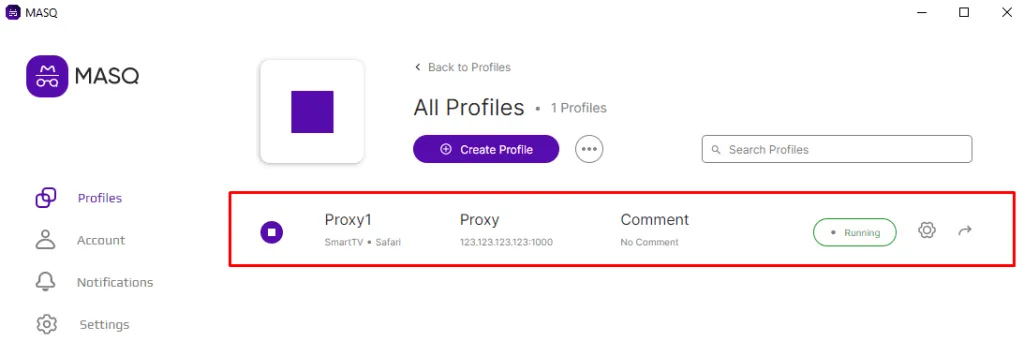 New profile with an assigned proxy in the MASQ Profiles list