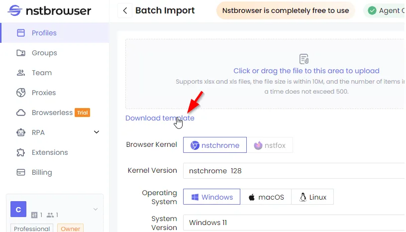 Скачивание шаблона для пакетного импорта в NST Browser