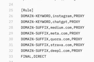 Shadowrocket config [Rule] section with DOMAIN-KEYWORD and DOMAIN-SUFFIX rules set to PROXY and FINAL,DIRECT at the end