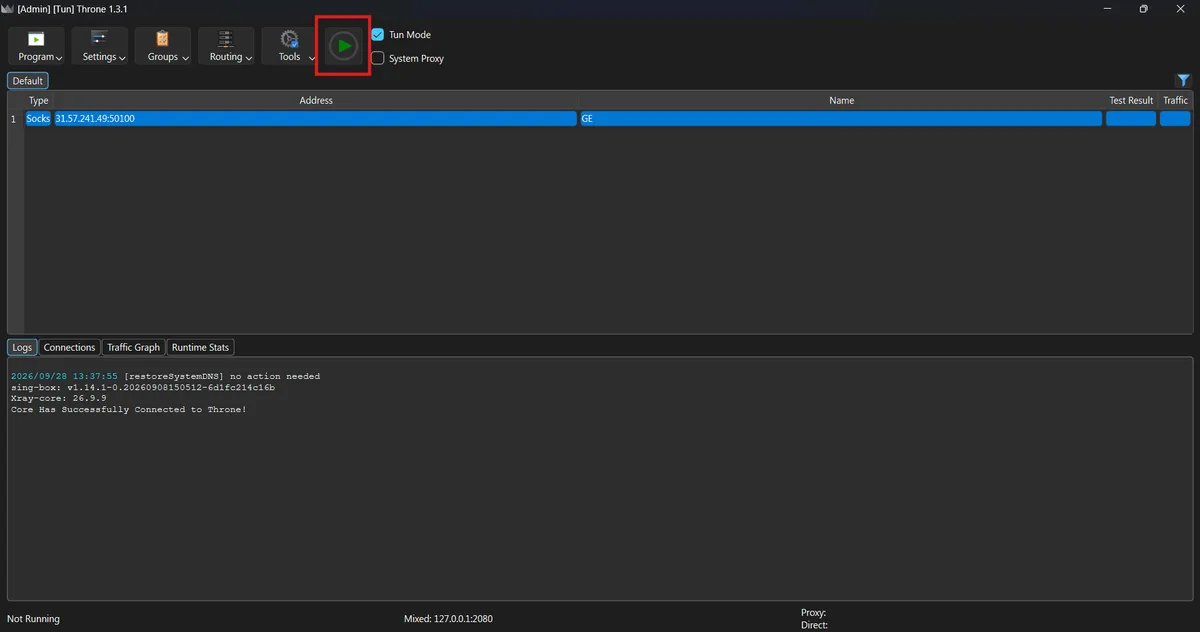 Запущенный прокси-профиль Throne с включённым системным прокси Windows