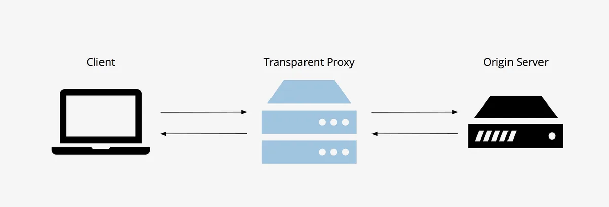 Interaction between a user, a transparent proxy and a web server
