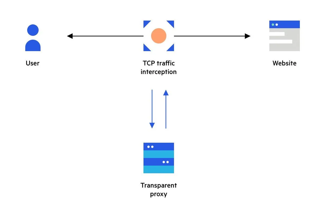 A transparent proxy processing and forwarding an HTTP request