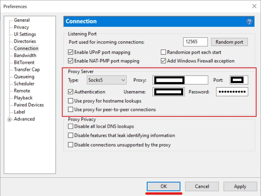 Раздел Connection с блоком Proxy Server: тип Socks5, адрес, порт, авторизация и параметры приватности