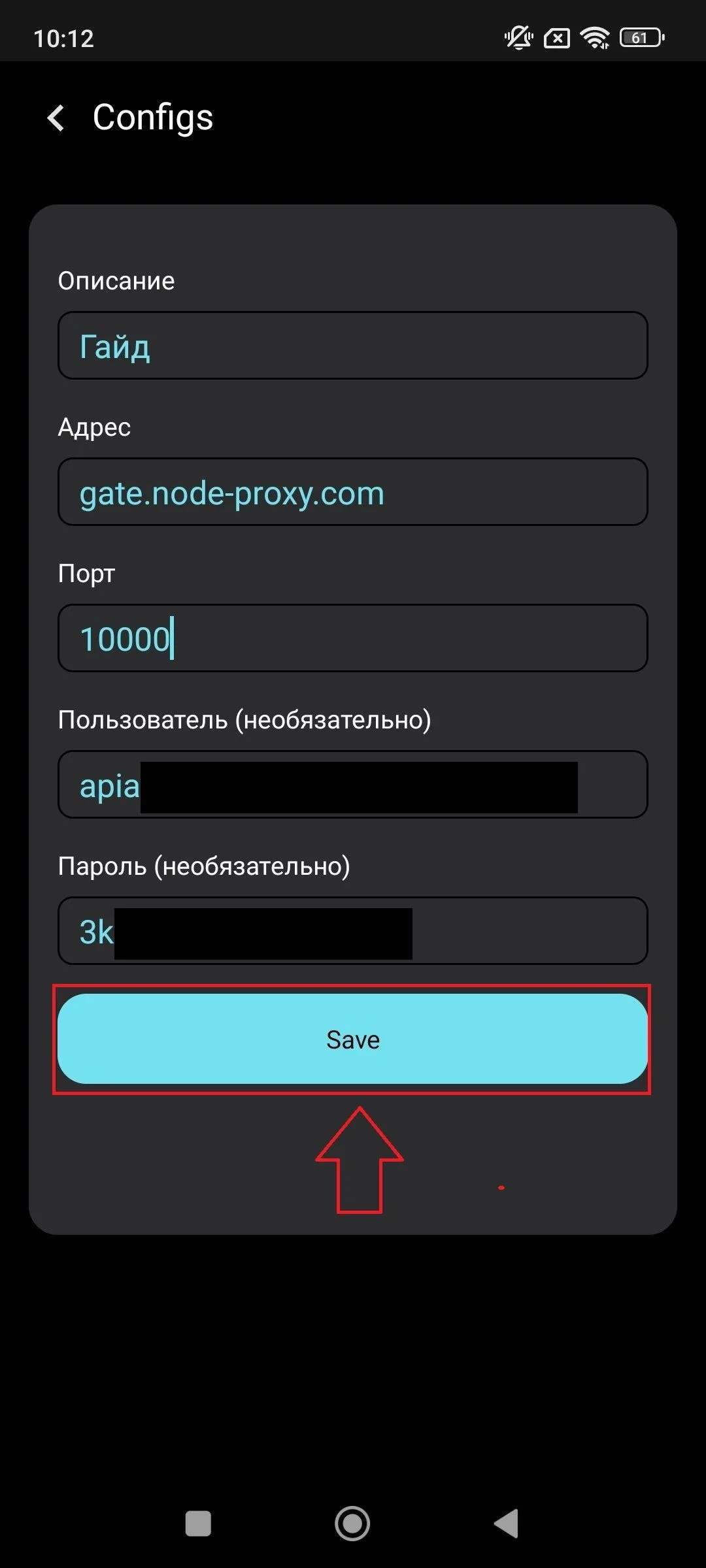 Заполнение адреса, порта, логина и пароля прокси в V2Box