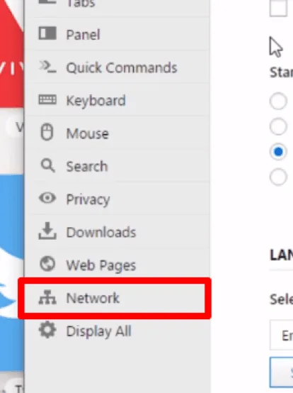 Network section in Vivaldi settings