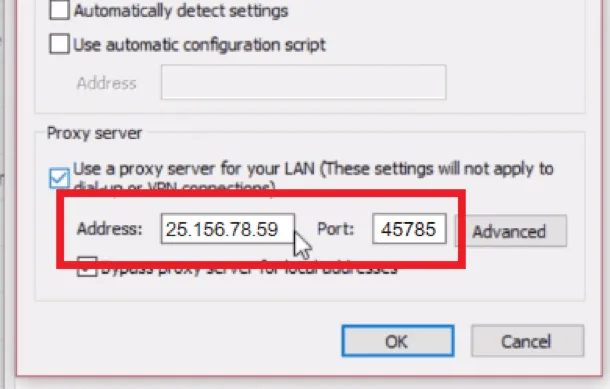 Fields for entering the proxy IP address and port in Windows